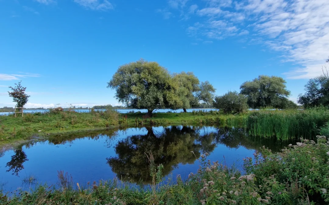 Hoe het koude zeewater Jeroen weer leerde voelen