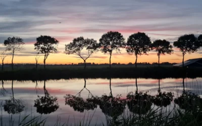 Hoeveel vrienden heb je écht nodig?